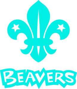 Beaver CMYK blue stack