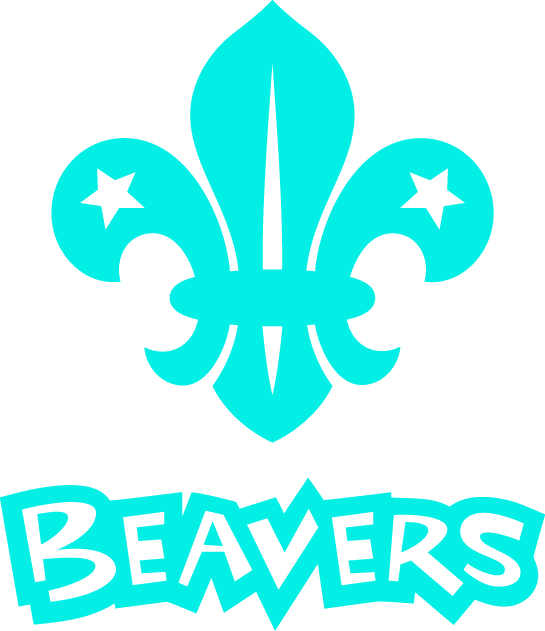 Beaver CMYK blue stack